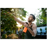 empresa de terceirização de jardinagem Interlagos