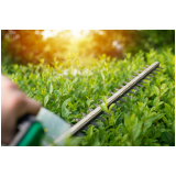 serviço de jardinagem em condomínios Penha